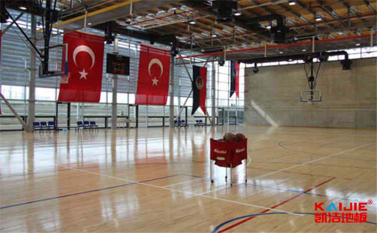 羽毛球館木地板