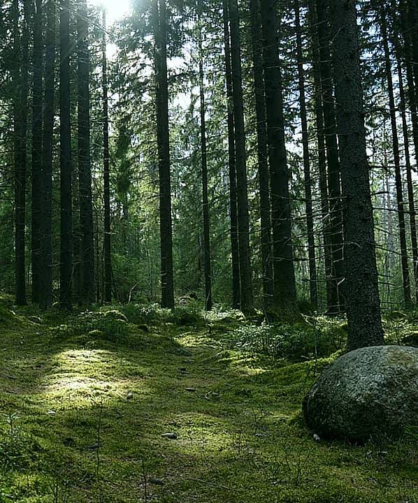 運動木地板供應基地