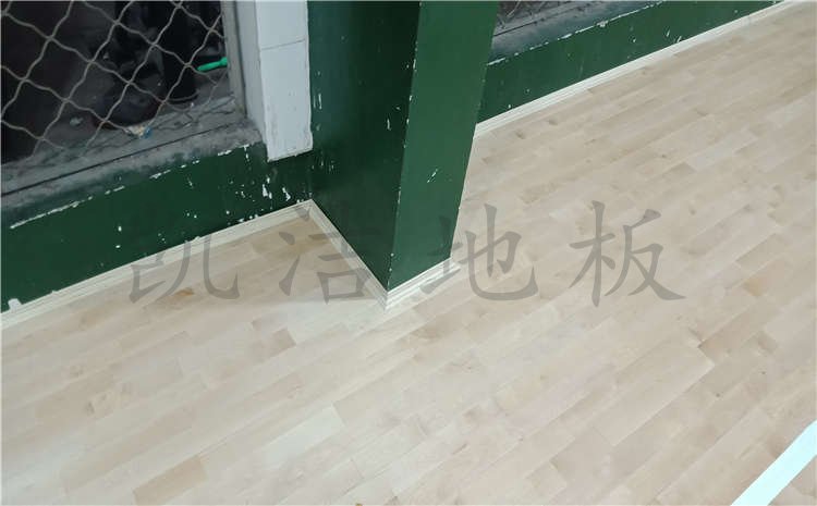 河北滄州體育學校體育館木地板案例圖片