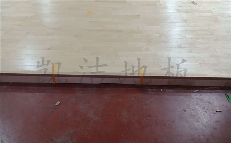 河北滄州體育學校體育館木地板案例圖片